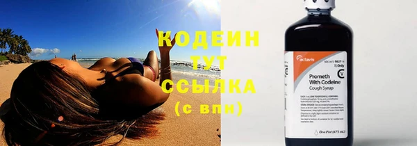 ПСИЛОЦИБИНОВЫЕ ГРИБЫ Верхний Тагил