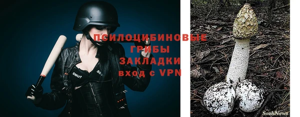 дживик Верея