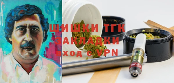 скорость Бородино