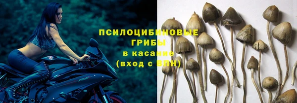 ПСИЛОЦИБИНОВЫЕ ГРИБЫ Верхний Тагил